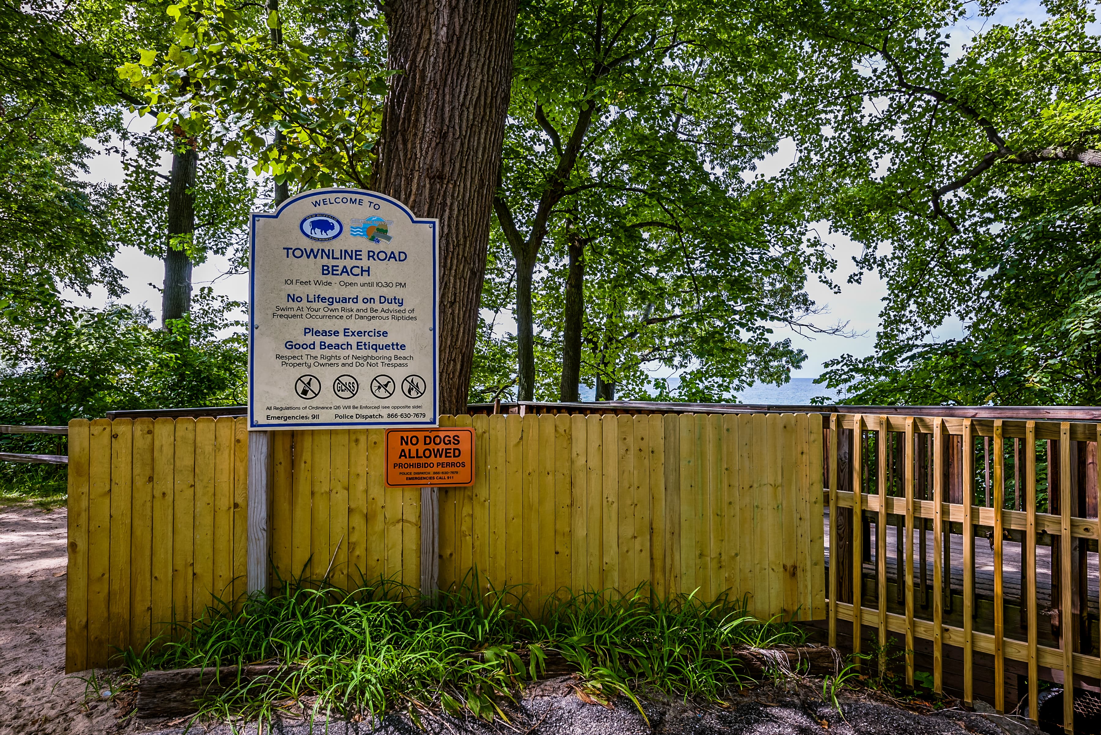 A white metal sign for "Townline Road Beach" is mounted on posts in a wooded area. The sign includes beach regulations and icons for prohibited items, set against a backdrop of tall green trees and a rustic wooden fence.
