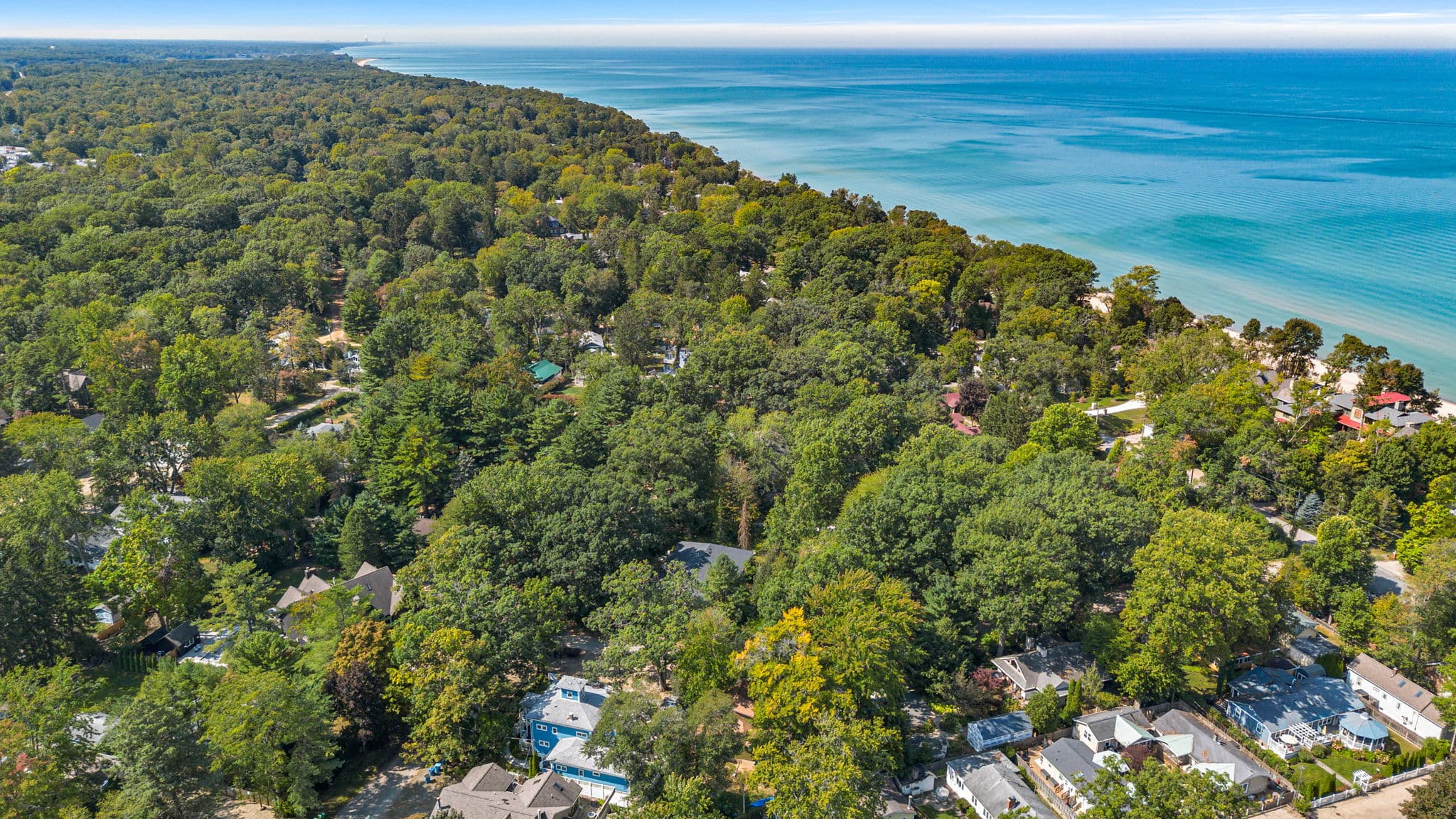 Aerial view of a tree-lined coastline with homes nestled among greenery near a blue lake.